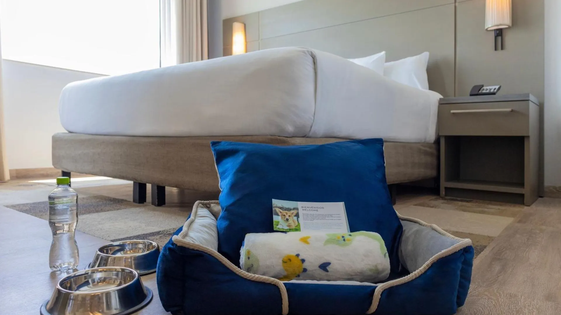 *** מלון Residence Inn By Marriott פלאייה דל כרמן מקסיקו
